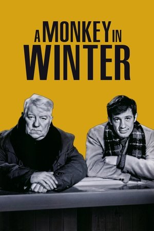 A Monkey in Winter (1962)