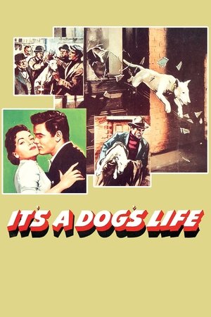 Its a Dogs Life (1955)