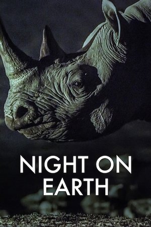 Night on Earth (2020 )