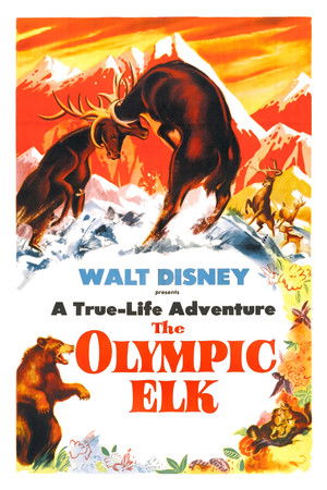 The Olympic Elk (1952)