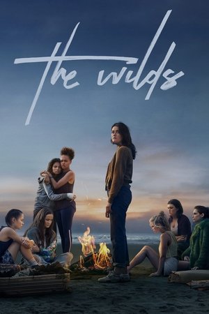The Wilds (2019 )