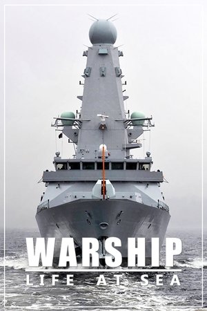 Warship Life at Sea (2018-2022)