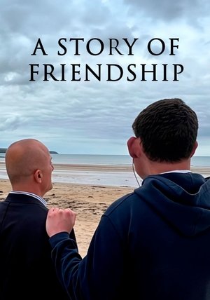 A Story of Friendship (2025)
