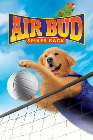 Air Bud: Spikes Back (Video 2003)