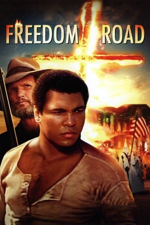 Freedom Road (1979)