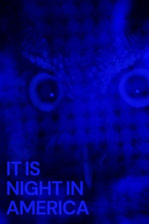 It Is Night in America (2022) Poster