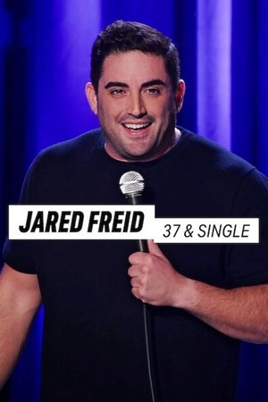ared Freid: 37 and Single (2023)