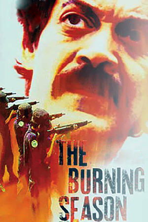 The Burning Season The Chico Mendes Story (1994)