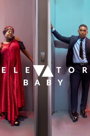 Elevator Baby (2019)