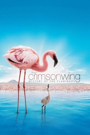 The Crimson Wing: Mystery of the Flamingos (2008