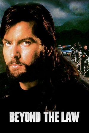 Beyond the Law (1993)