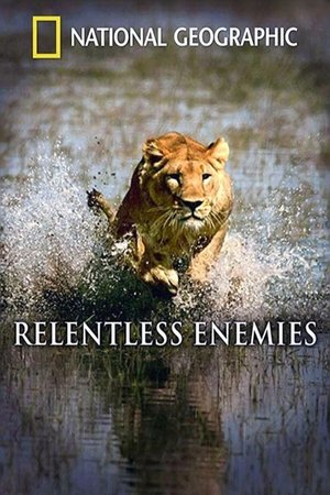 Relentless Enemies (2006)