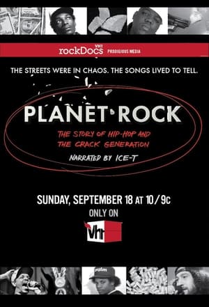 Planet Rock: The Story of HipHop and the Crack Generation (2011)