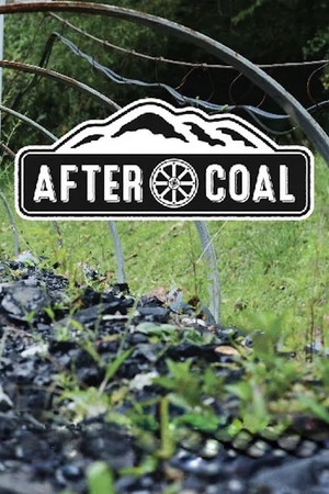 After Coal Welsh and Appalachian Mining Communities (2016)