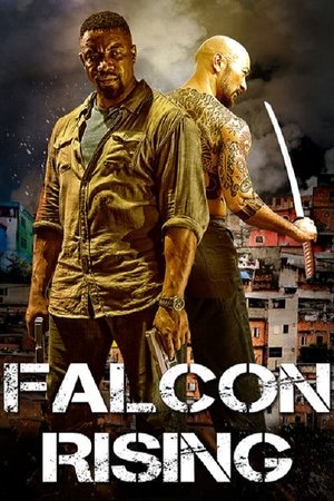 Falcon Rising (2013)
