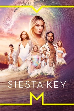 Siesta Key (2017 )