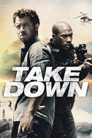 Billionaire Ransom (Take Down) (2016)
