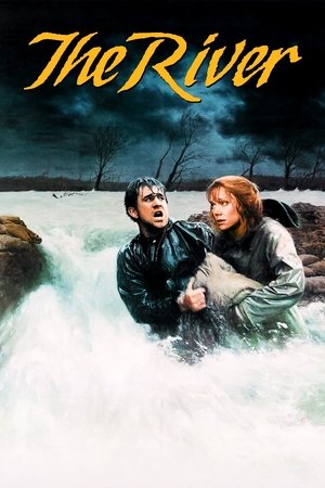 The River (1984)