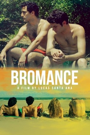 Bromance (2016)