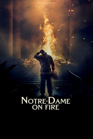 Notre Dame brule (2022)