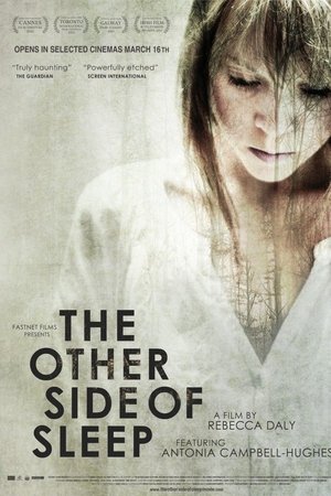 The Other Side of Sleep (2011)