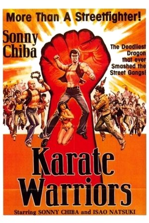 Karate Warriors (1976)