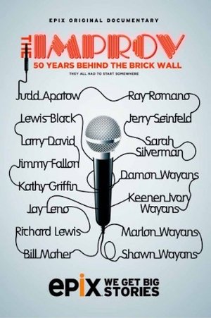 The Improv 50 Years Behind the Brick Wall (2013)