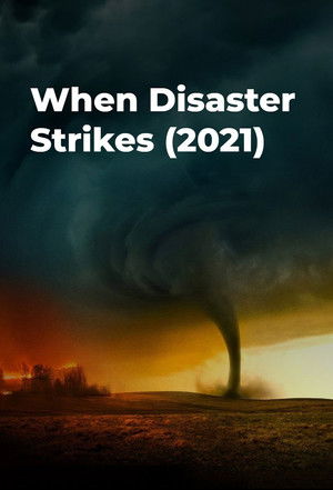 When Disaster Strikes (2021 )