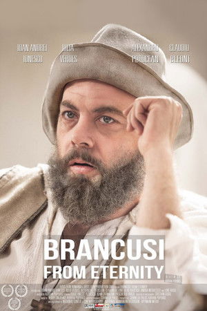 Brancusi from Eternity (2014)