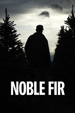 Noble Fir (2014)