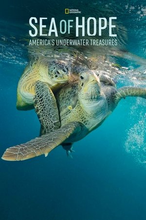 Sea of Hope: Americas Underwater Treasures (2017)