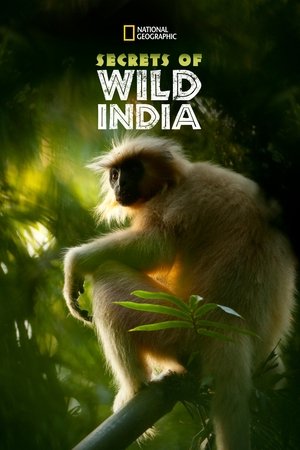 Secrets of Wild India (2012-)