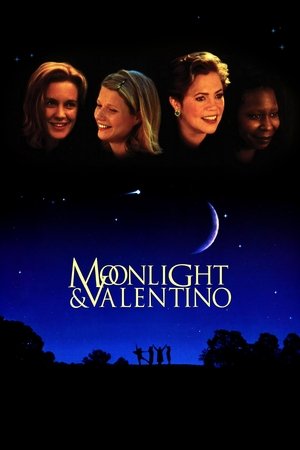 Moonlight and Valentino (1995)