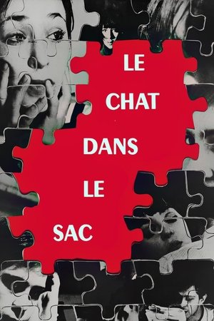 The Cat in the Bag (1964)