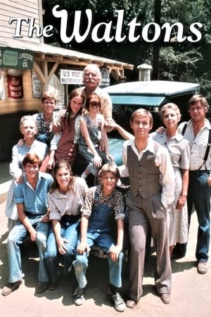 The Waltons (19711981)