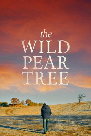The Wild Pear Tree (2018)