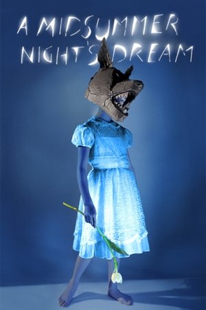 A Midsummer Nights Dream (2014)