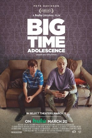 Big Time Adolescence (2019)