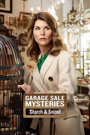 Garage Sale Mysteries Searched Seized (2019)