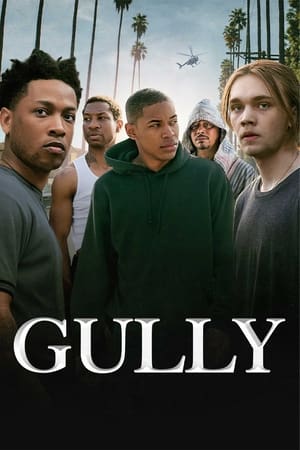 Gully (2019)