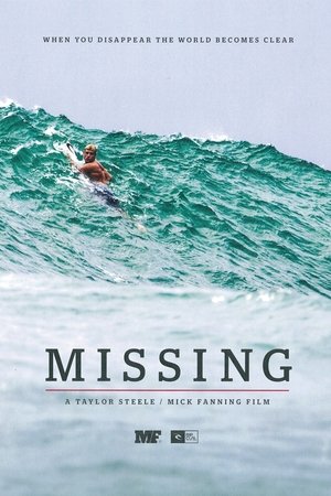 Missing (2013)