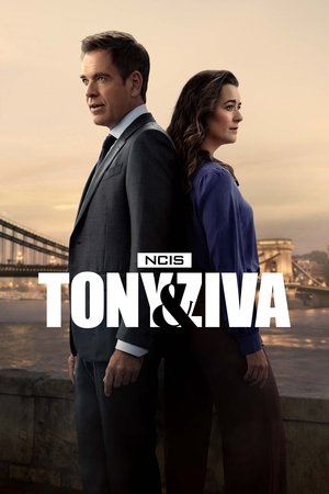 NCIS Tony Ziva (2025–)