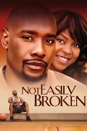 Not Easily Broken (2009)
