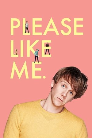 Please Like Me (20132016)
