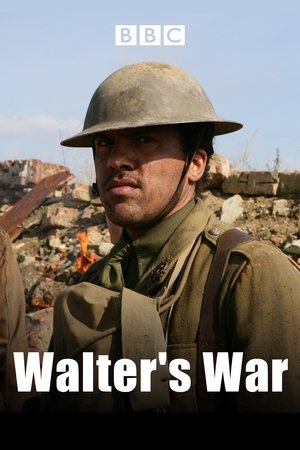 Walters War (2008)