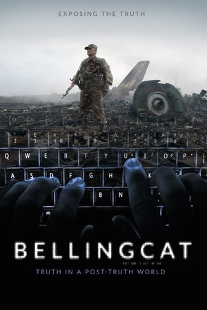 Bellingcat: Truth in a PostTruth World (2018)