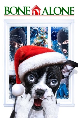 Alone for Christmas 2013