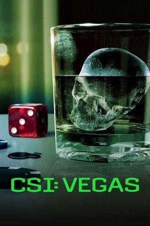 CSI: Vegas (2021 )