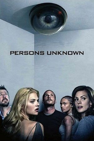 Persons Unknown (2010 )
