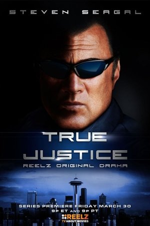 True Justice (20102012)